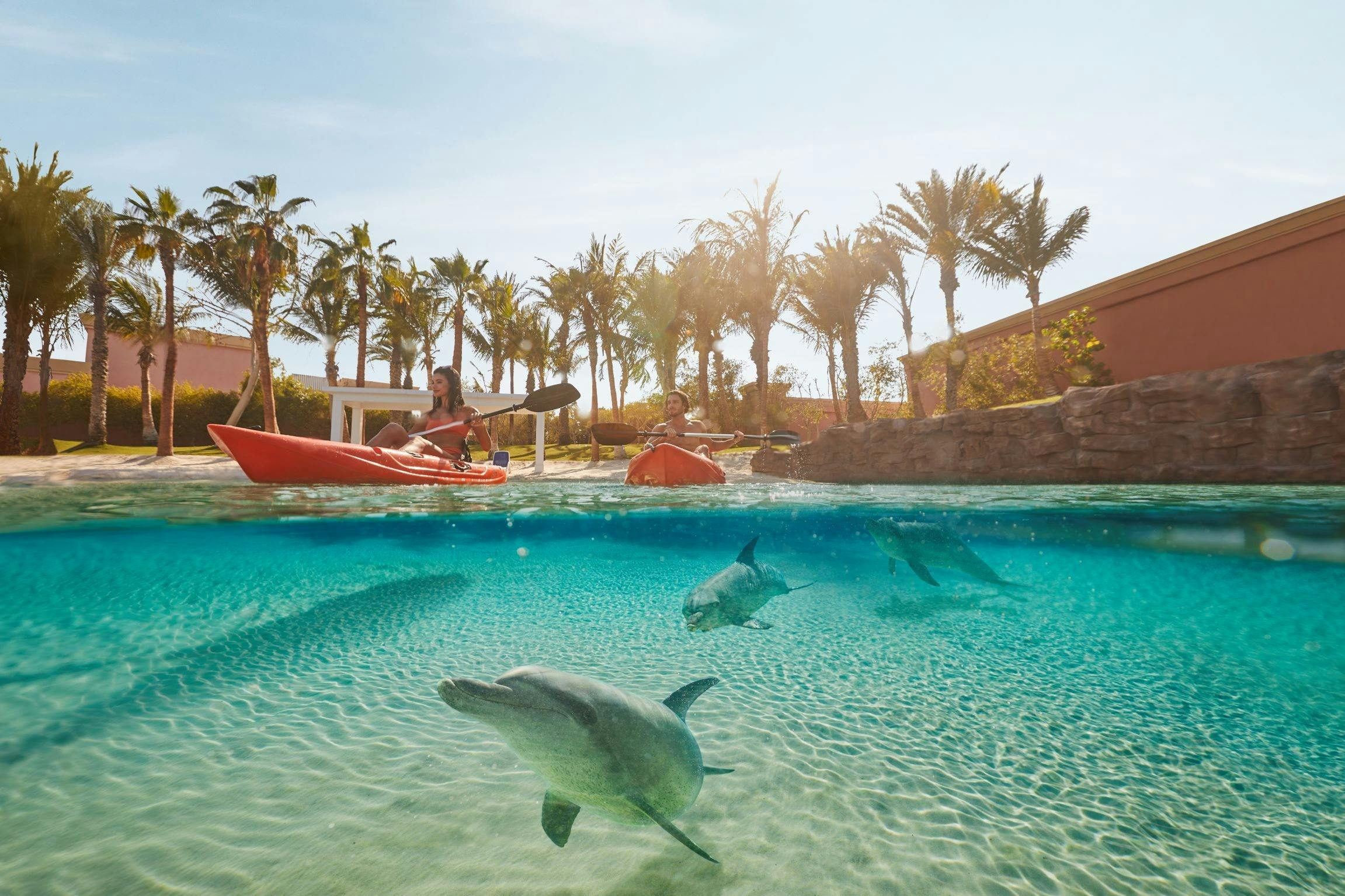 Aquaventure World Dolphin & Sea Lion Experiences: Waterpark Day Pass + Paddle or Kayak with Dolphins - Photo 1 of 9